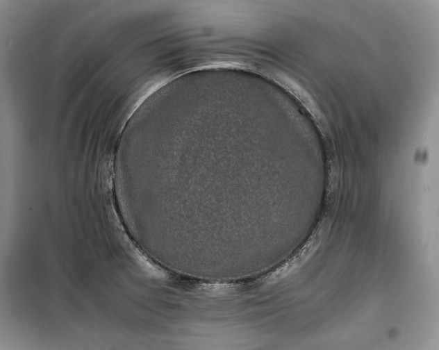 X0000100191377200806131157