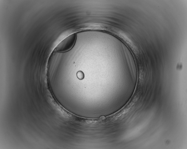 X0000100191378200806131157