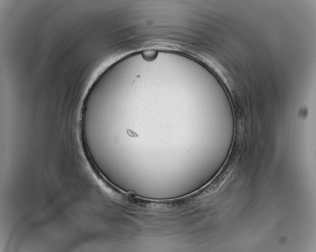 X0000100191379200806131157