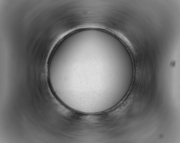 X0000100191380200806131157