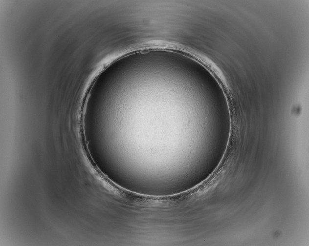 X0000100191381200806131157