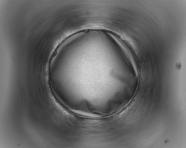 X0000100191382200806131157