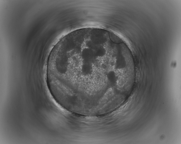 X0000100191383200806131157