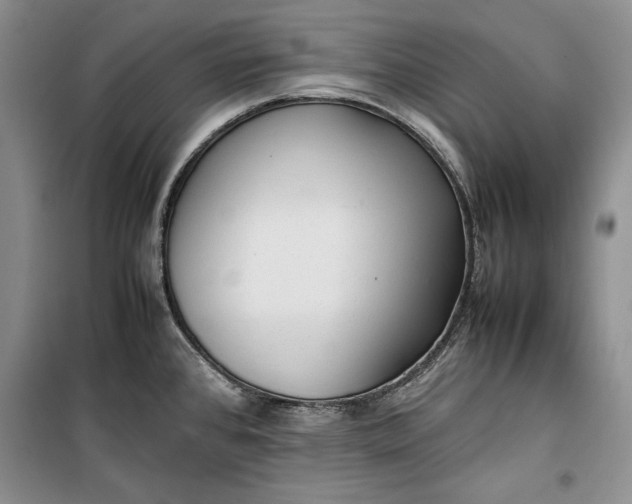 X0000100191384200806131157