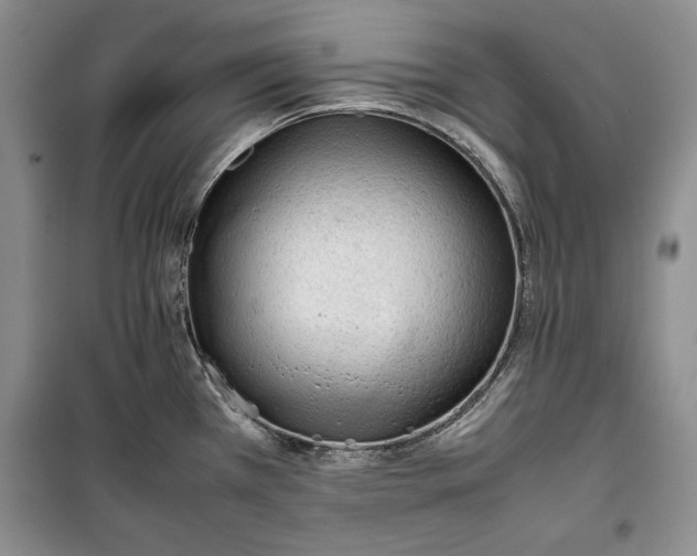 X0000100191385200806131157