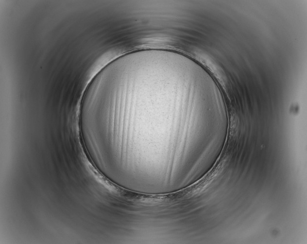 X0000100191386200806131157