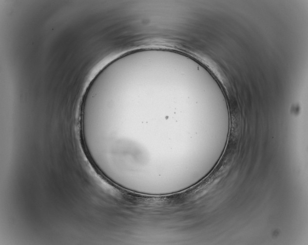 X0000100191387200806131157