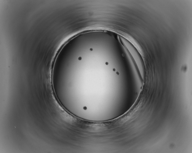 X0000100191388200806131157