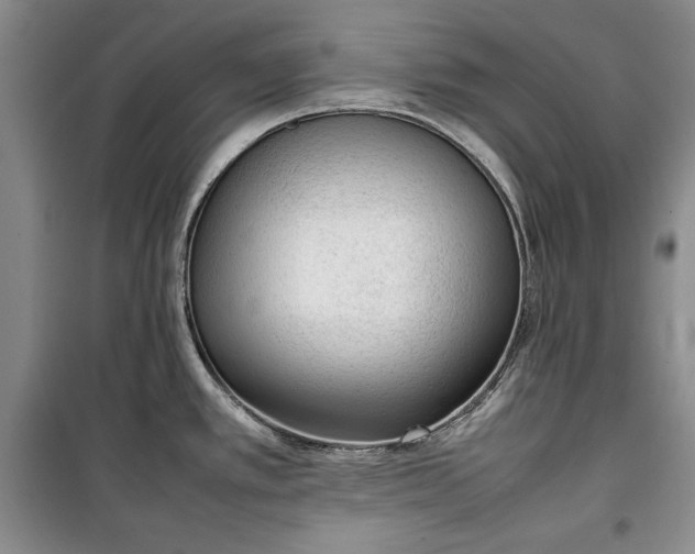 X0000100191389200806131157