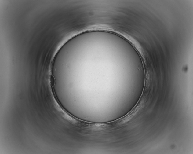 X0000100191390200806131157