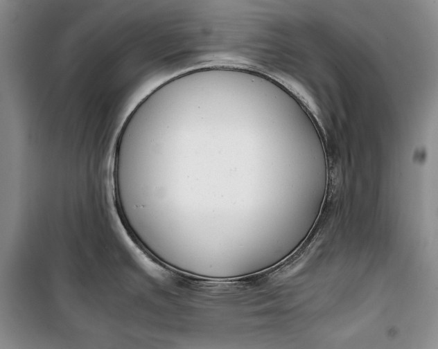 X0000100191391200806131157