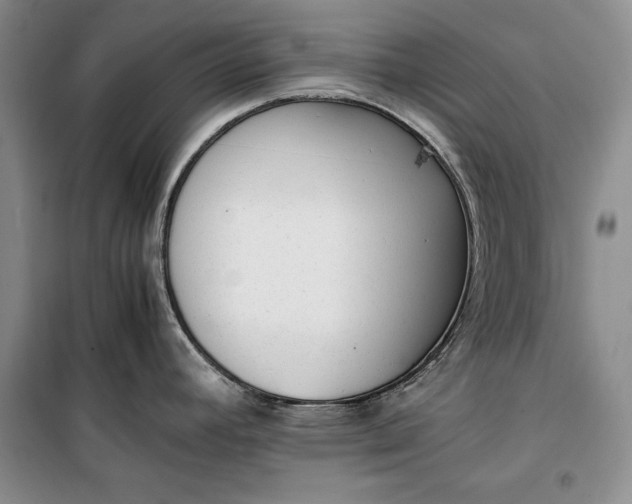 X0000100191392200806131157