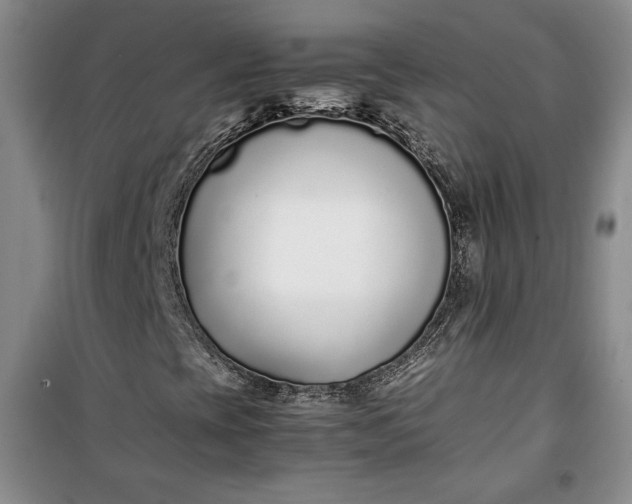 X0000100191393200806131156