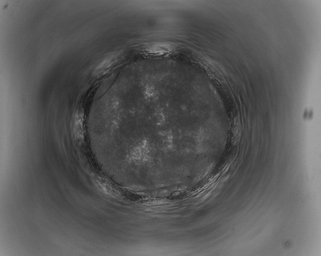 X0000100191394200806131156