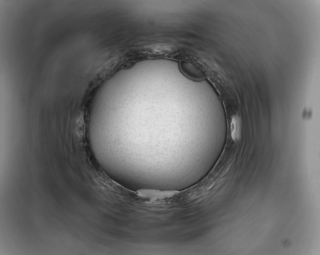 X0000100191395200806131156