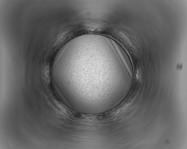 X0000100191396200806131156