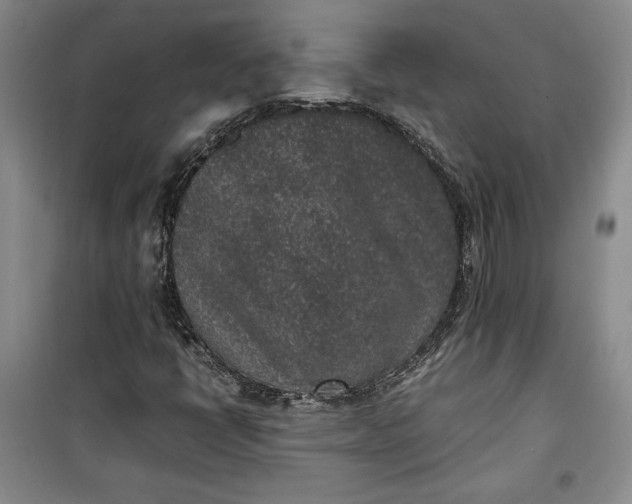 X0000100191398200806131156