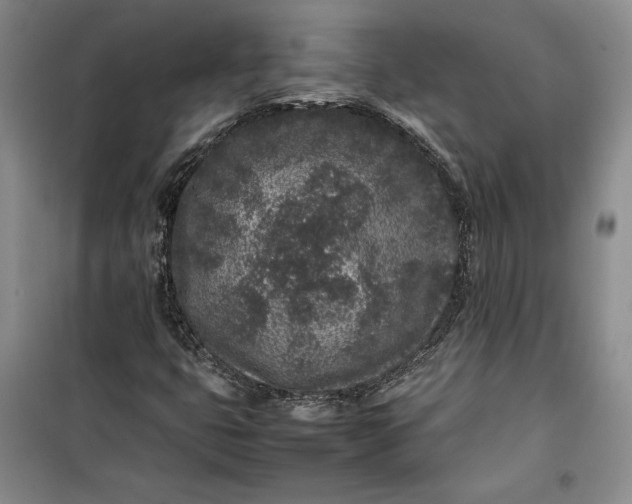 X0000100191399200806131156