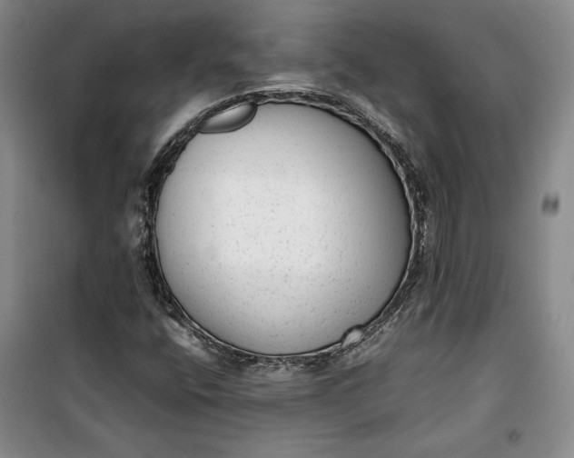 X0000100191400200806131157