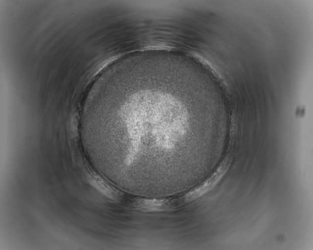 X0000100191401200806131157