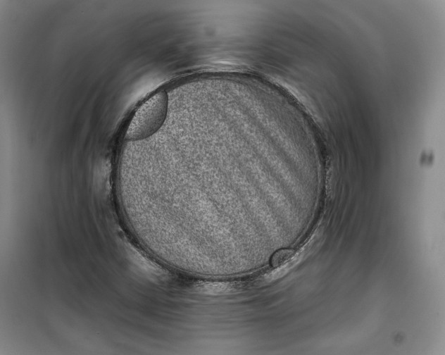 X0000100191402200806131157