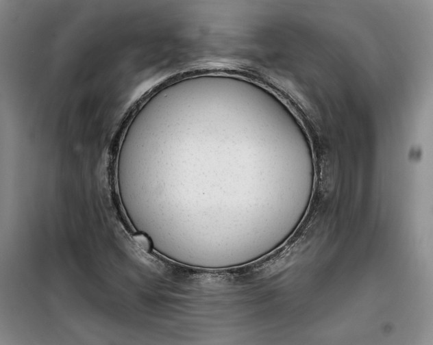 X0000100191404200806131157