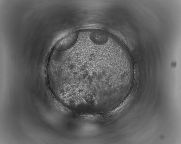 X0000100191405200806131157