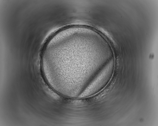 X0000100191408200806131157