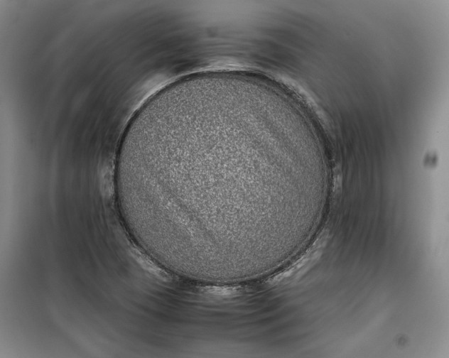 X0000100191409200806131157