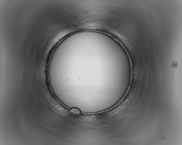 X0000100191410200806131157