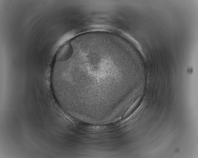 X0000100191411200806131157