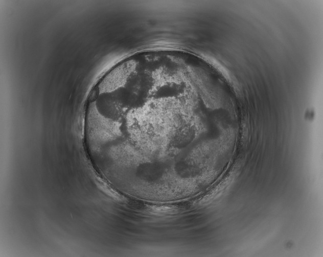 X0000100191413200806131157