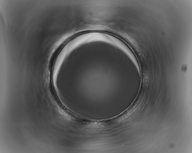 X0000100191414200806131157