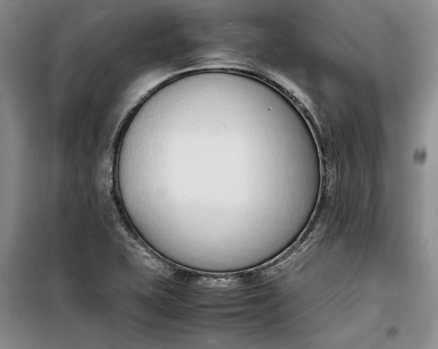 X0000100191415200806131157