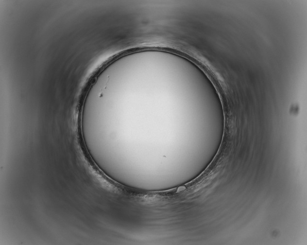 X0000100191416200806131157