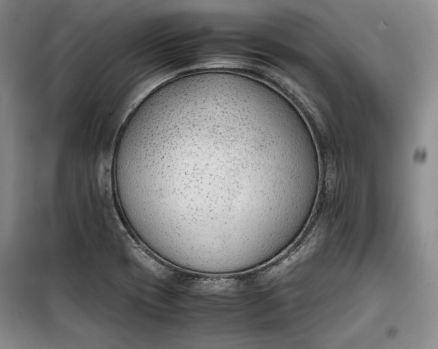 X0000100191417200806131157