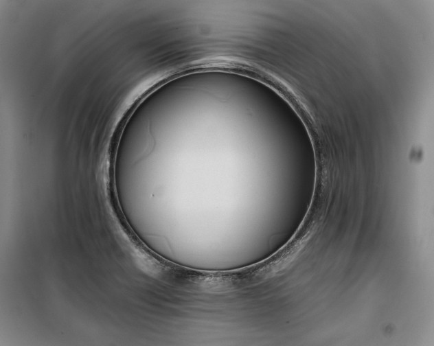 X0000100191418200806131157