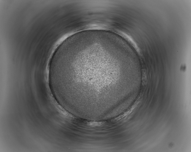 X0000100191419200806131157