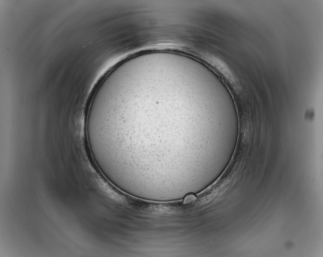 X0000100191420200806131157