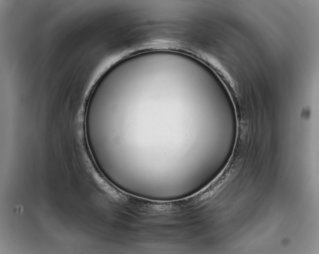 X0000100191421200806131157