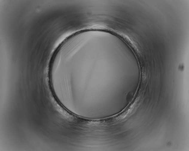 X0000100191422200806131157