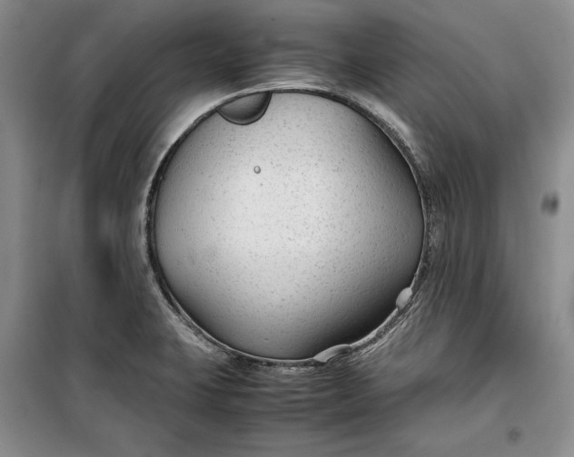 X0000100191423200806131157