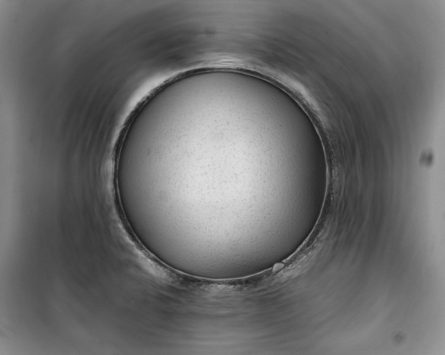 X0000100191424200806131157