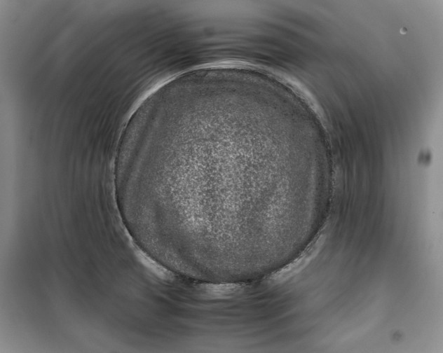 X0000100191425200806131157