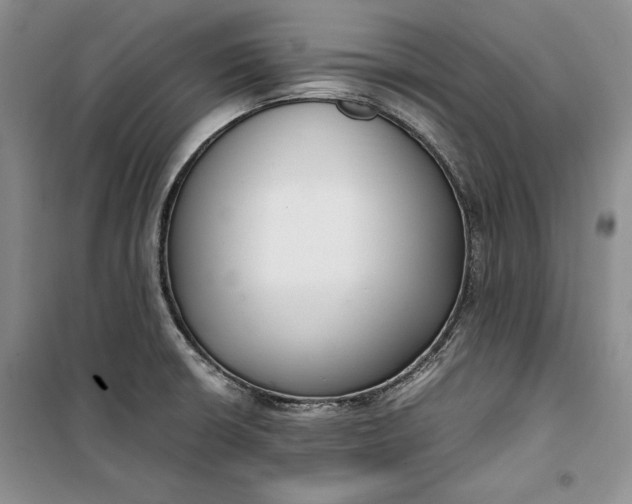 X0000100191426200806131157