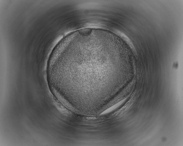 X0000100191427200806131157