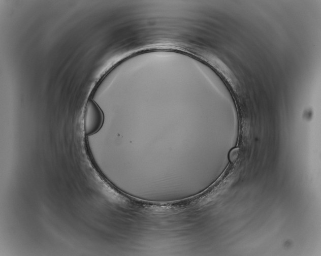 X0000100191428200806131157