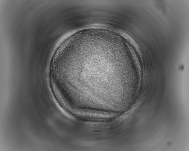 X0000100191429200806131157