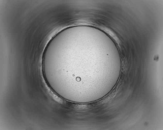 X0000100191431200806131157