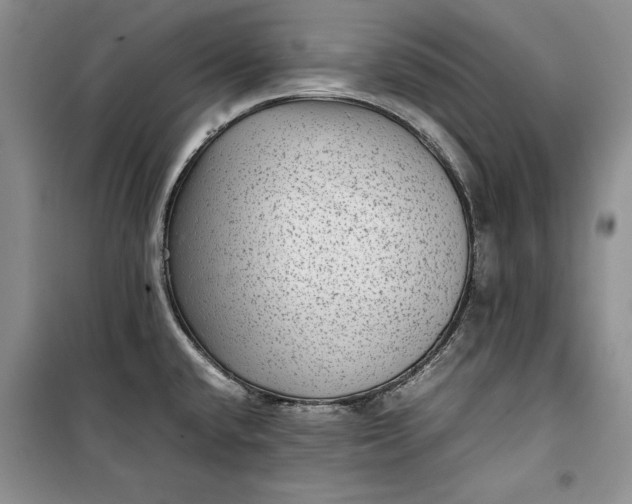 X0000100191432200806131157